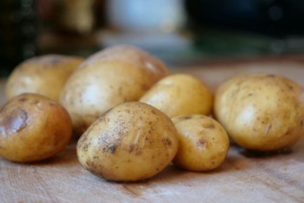 �������� ���������: ����������� ������ ������ � ������