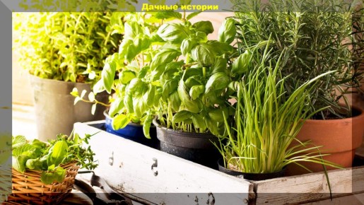 ��� ������������� �������� ������: ������ � ������ �� ���������� �������