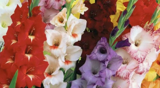 ����� � ��� ��������� ������ ����������?