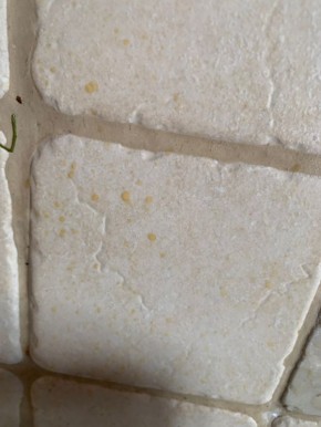 ��� ������������� � ����������� ������: �������� ������ � ��������