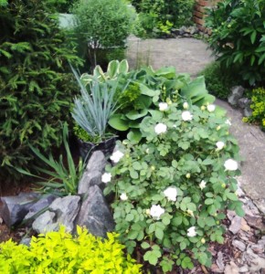 ��� ������� ��������� �������: ������� ������� ������ � ������ � ������������