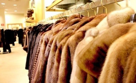 ��� ��������� ������� ����: ��� ����� ����� � �����?