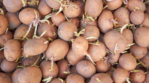 ��� ��������� ������ ��������� ��� ������� � �����