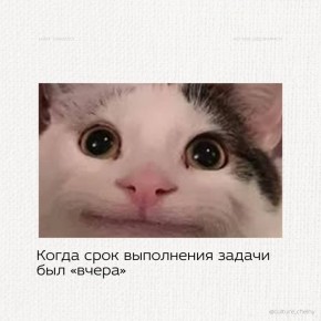 � ��� ������, ��� �����?. ������� ����� � ���� ��������� ����