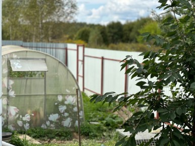 ��� ������� ��������� �������: ������ ��� ����������� ��������