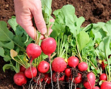 ����������� ������ ������ ������, �� �������� ����������� � ��������������