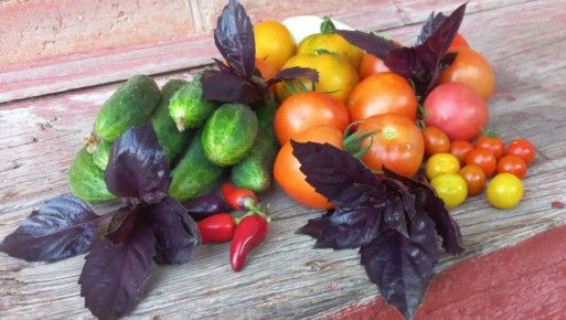 ������� ��������� ����� ������