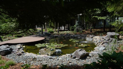 Как обустроить участок мечты: полезные советы для начинающих садоводов