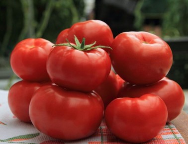 Томат Большая Мамочка становится всё менее популярным: в чём причина?