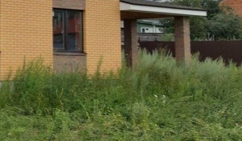 ����������� ������ ������ � ���������: ���� ���������