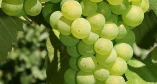 �������� ����������: ���������� ����, ������� �������� ������ ������������