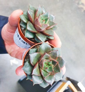 ������� �������� ��� � ����� ������: ��� �� ����� ������� ������