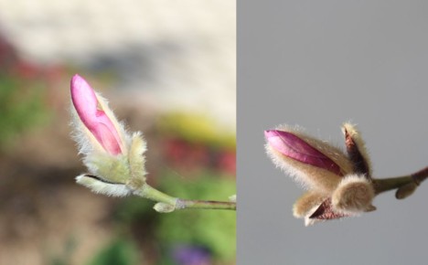 �������� �����������: ��� ������ � ���� � ������ ���