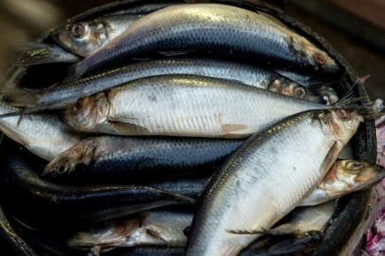 ������ ������: ����� ���� ������ ���� ����� ��������� � ������