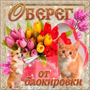 ��� ������ �� ���������� �����������