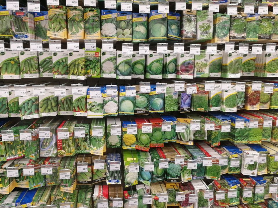 ��� ���� ������� ����� ������������ � ��������� ��������