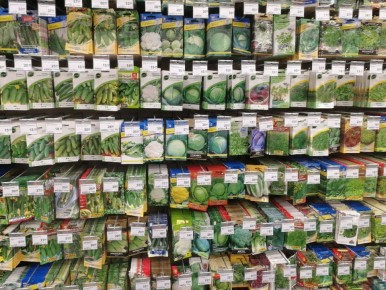 ��� ���� ������� ����� ������������ � ��������� ��������