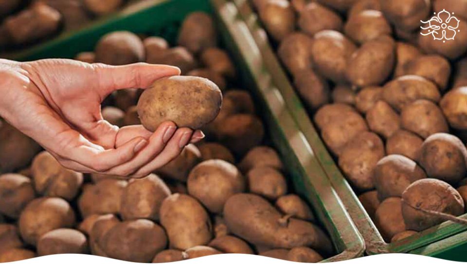 ������� ������������ �������� ���������: ������� �� ������� ��������