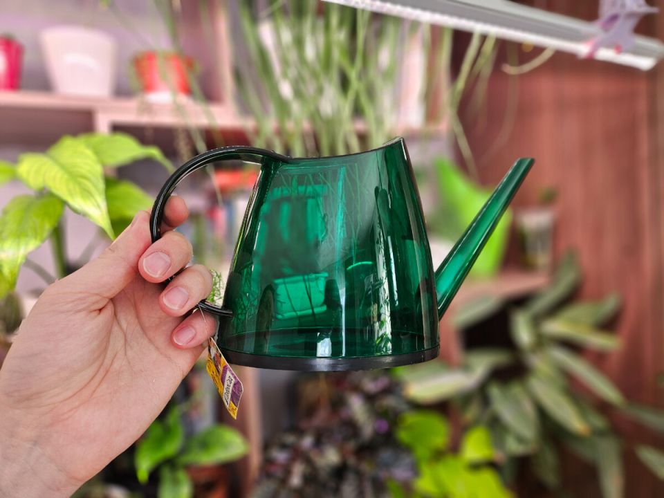 �������� ������� ��� ����������: �������������� ������ ������