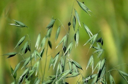 ������ ��� ������ ����� ������ ���������� � �������