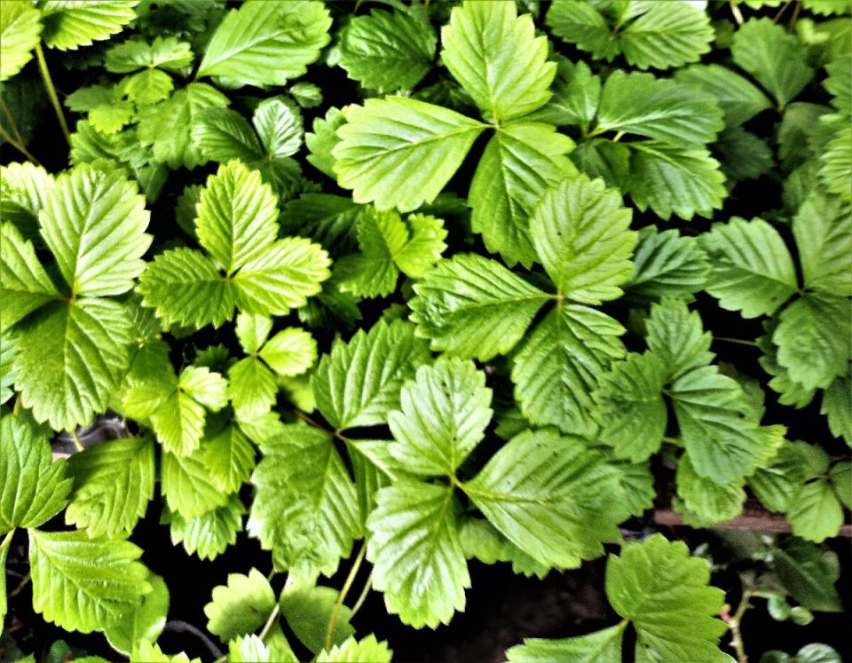 ����� ����� ��������� � ��������? ����� ������!