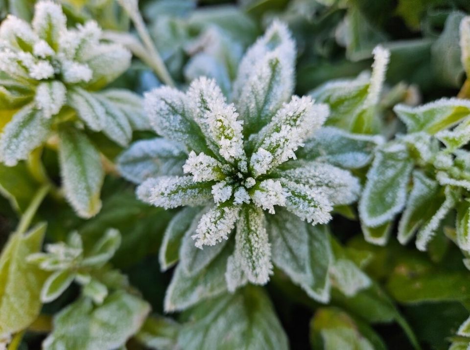 ������ ������ � ���������: ��� �� �������� ������� ������ � �������� ����� ����