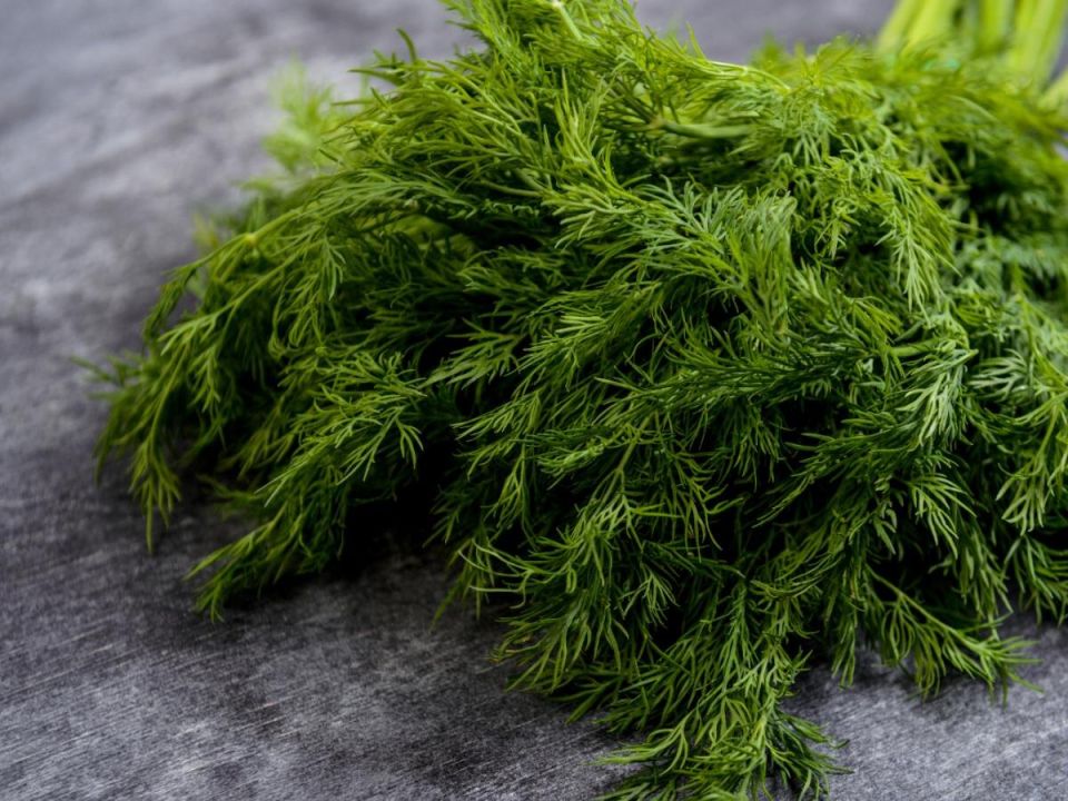 �����: ��� ��������� ������� �� �������