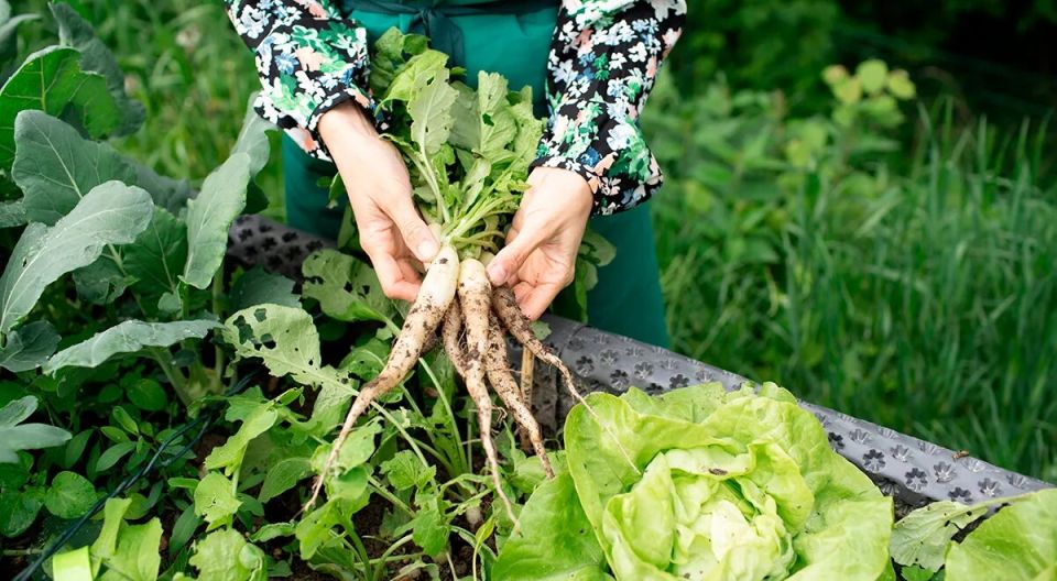 ����� ���������� ���� � ��� ��������� ��� ��������� �� ����