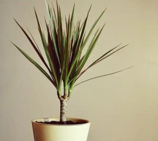 ��� ��������� �� �������� ��������� � �������� ��������