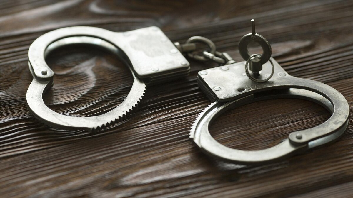 Закон о защите россиян за границей получил одобрение