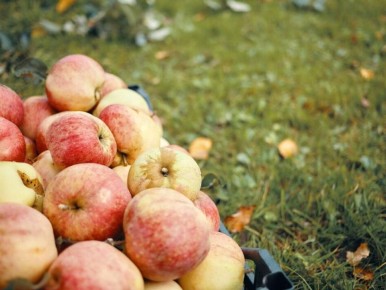 ������� ������: ������� ������ � ��� �������� ��� �� ����