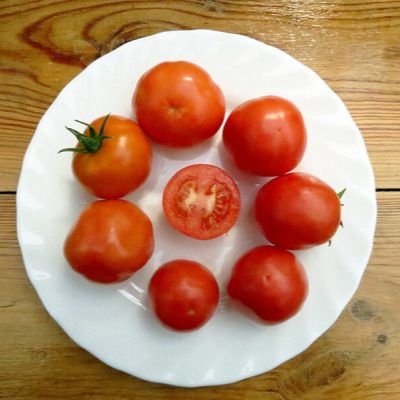 ����� ��������: ������ ����� ��� ����� ����