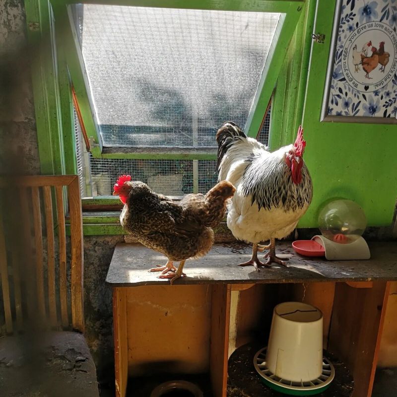 ��� ������� ������: ������� ������ ��� �����