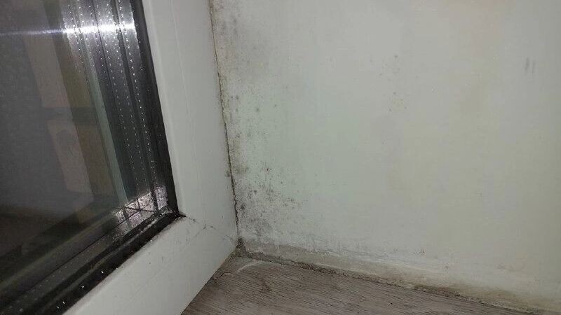 Как защитить свой дом от плесени: советы для жителей Оренбурга