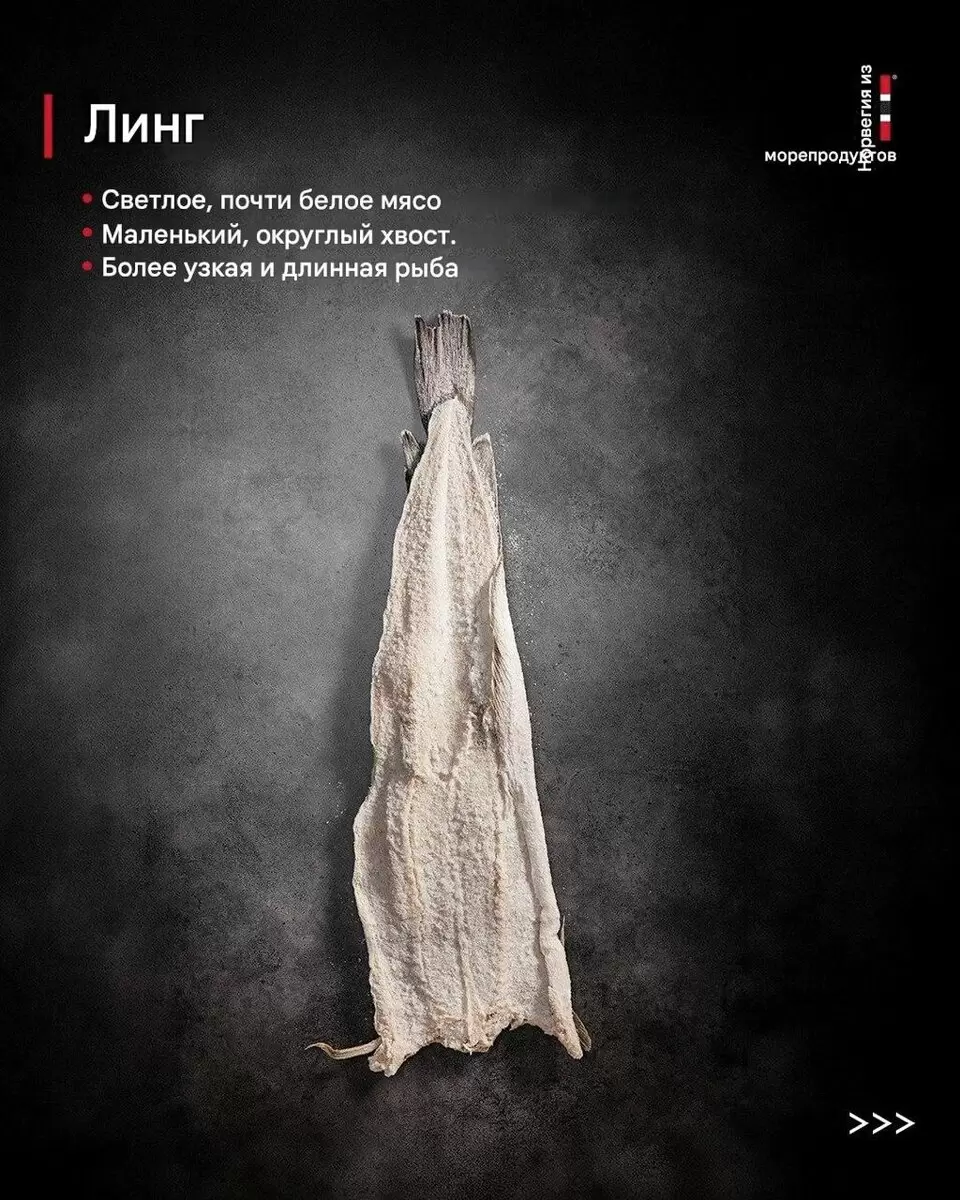 Чем уникальна норвежская рыба: четыре главных вида в кулинарии