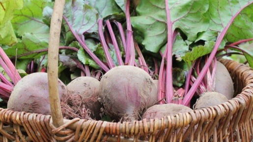 ��� ���������� � ������, ����� �������� ����������� ������� � �������� ������