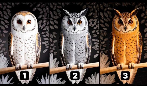 ����� ����: ��� ���� ����� ������� � ����?