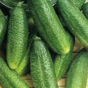 ������ �����: ��������� ������������� ������ ��� ������ �������