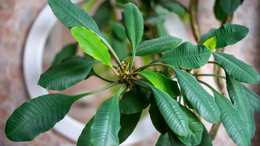 ������� �������������: ������� ��������� ����� � �������� ��������