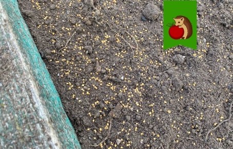 �������� ������: ��� ������� � ���������� ��� �������� �� �����?