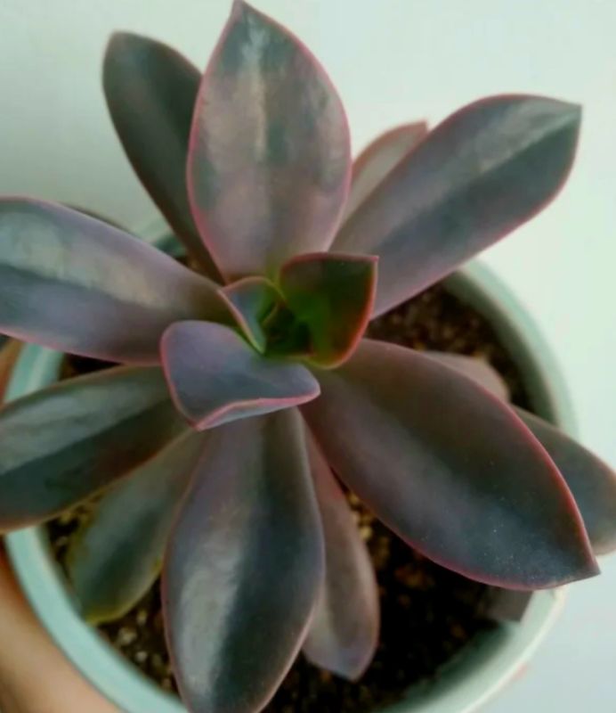 ����������: ����� ������� ��� ������ ���������