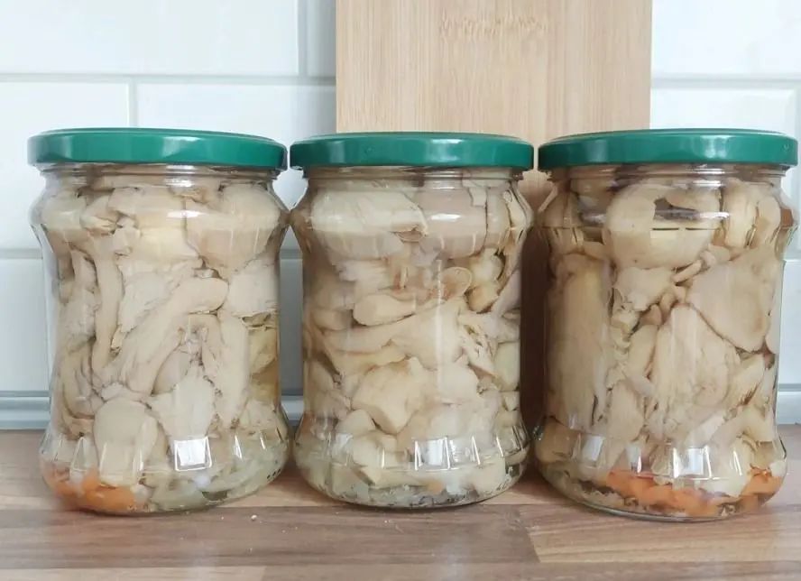 ������������ �������: �������� ��� ���� ��������������� ���� �������� ��������