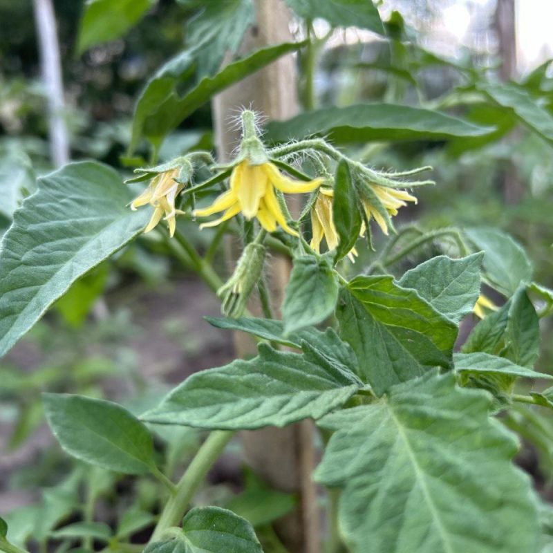 ����� �������� � ����������� �������: ��� ���������� �� ������� � ������� ������ ������