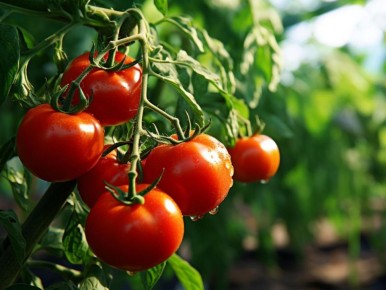 ����� ��� ������ �������� ��� ����� ���������: ������� � ����������� ���������