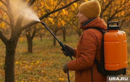 ������ ��������� ������: ������� ������������ ����