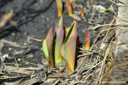 ��� ��������� ������ ��������: 3 ������ ���� ��������� �����