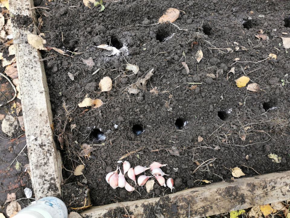 �������� ������: ������� �������� �������