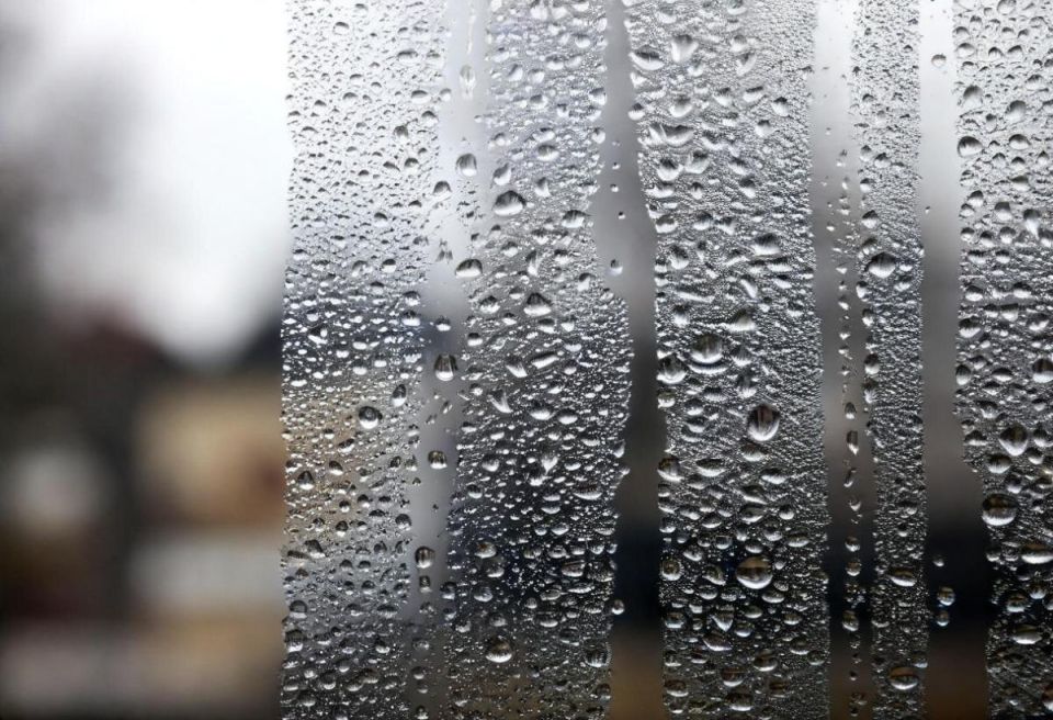 ������ �� ����� ���������� ��������� � ��� � ��� ��������