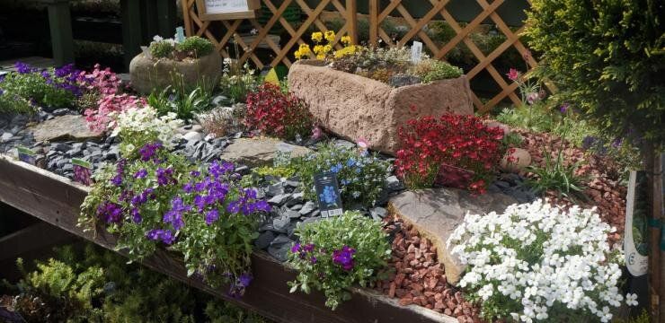 ��� ������� ����-����������: ������� ������ ��� ���������� �������