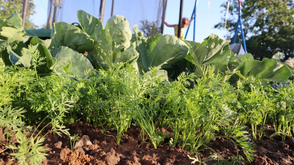 ������� ��������� ������: ���������� ������ �� ��������� �������